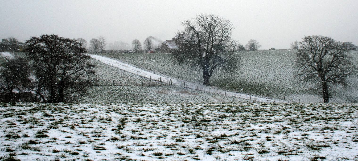 A snowy day in Febraury 2018 with driven flakes on the country hills in the Wealden district of Sussex