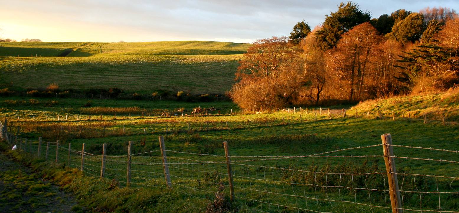 The rolling hills and downs of Wealden district